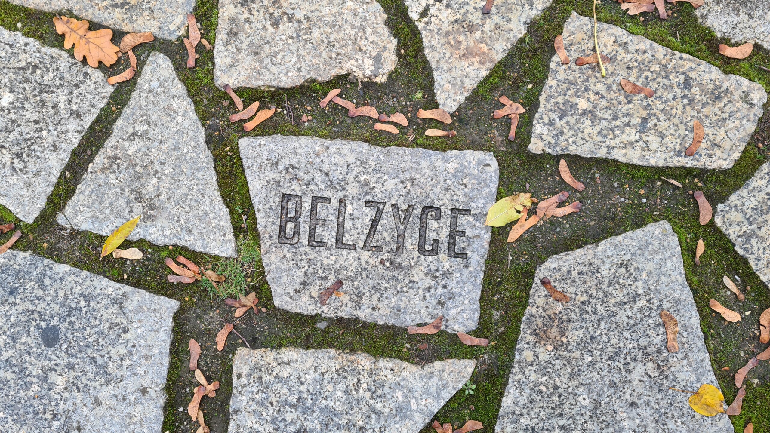 Stone plate at the Memorial 
(© 2023, RomaniPhen e.V.)