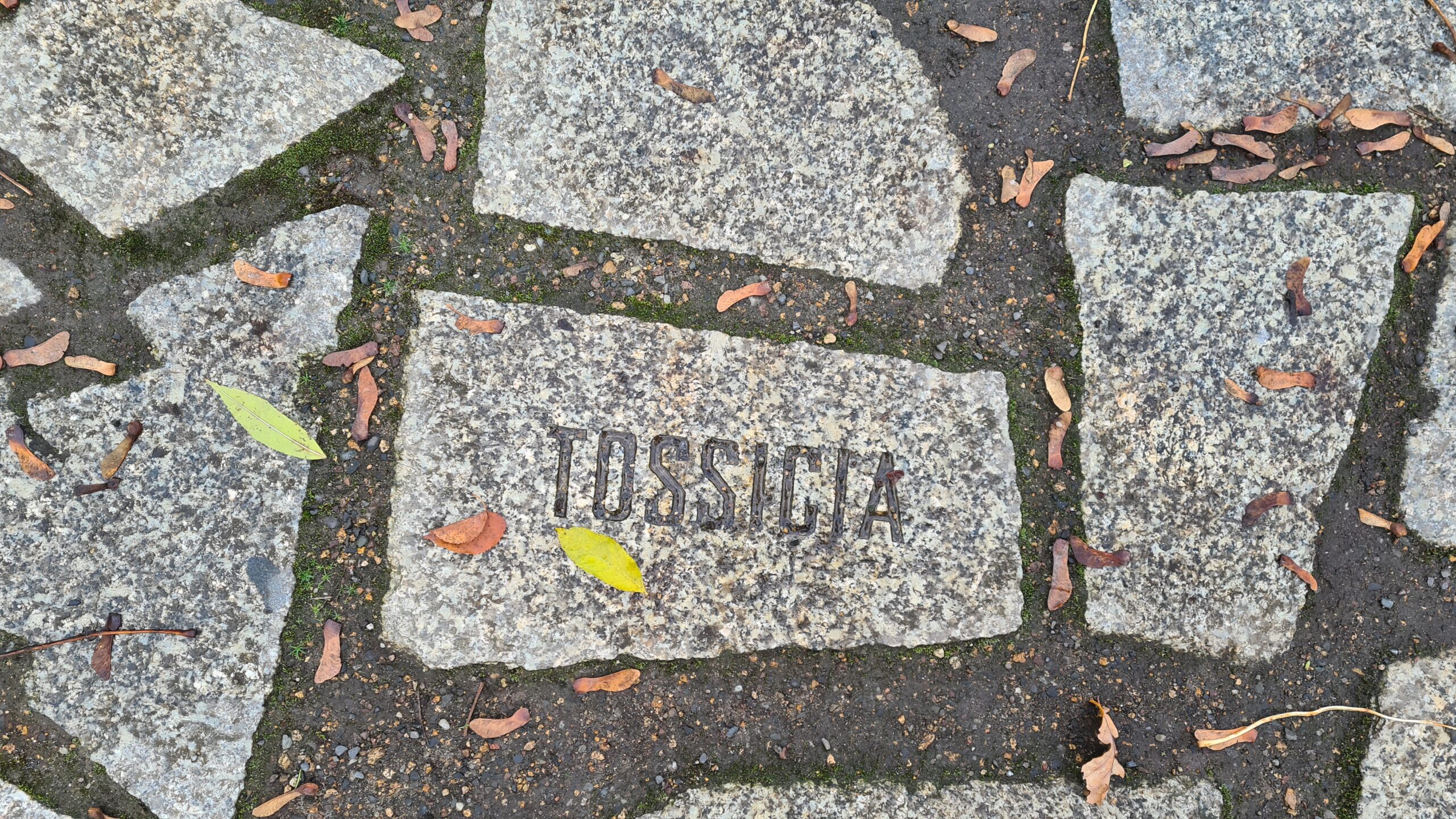 Bareski učarin pe Memorijalo (© 2023, RomaniPhen e.V.)