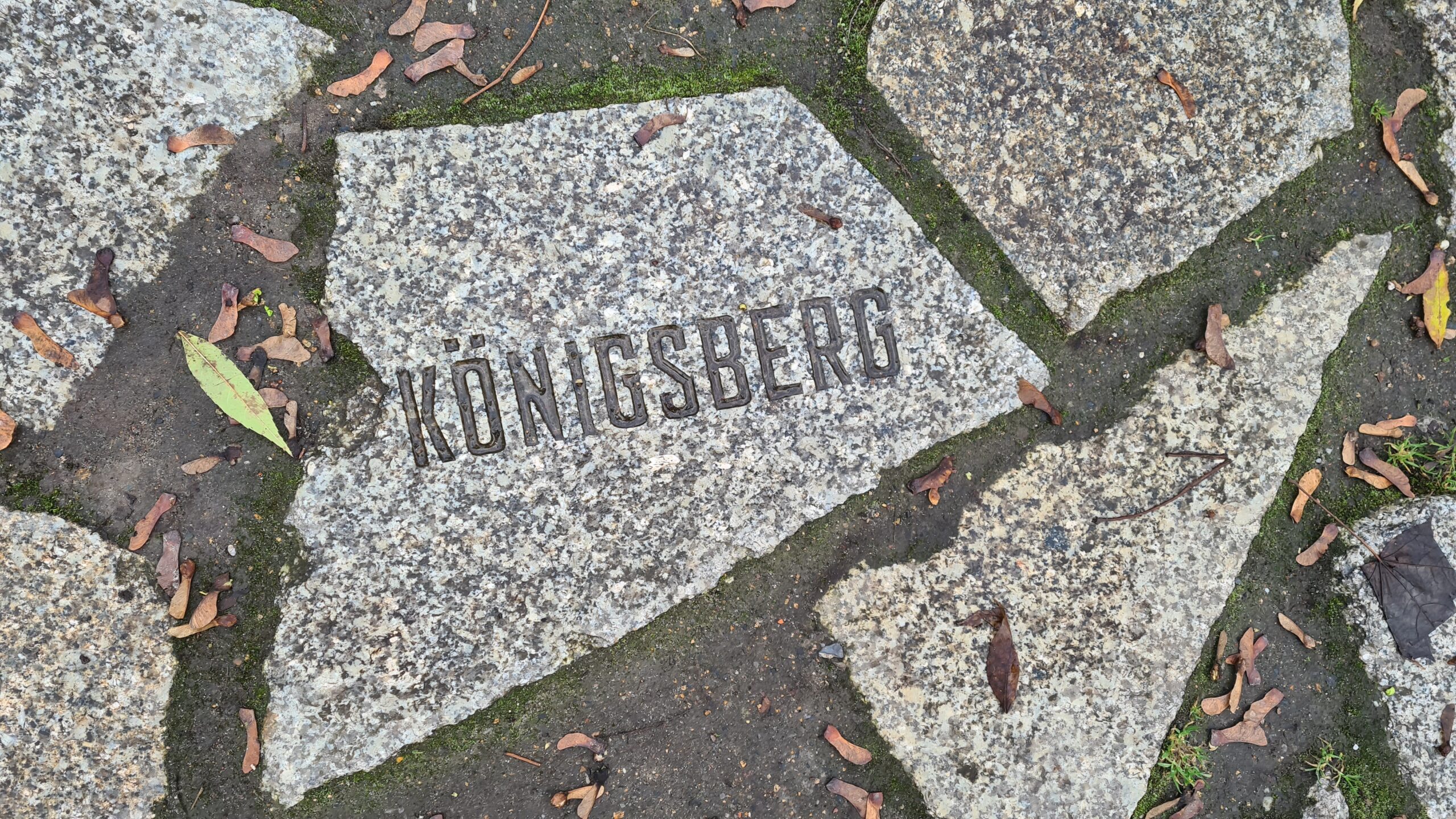 Bareski učarin pe Memorijalo (© 2023, RomaniPhen e.V.)