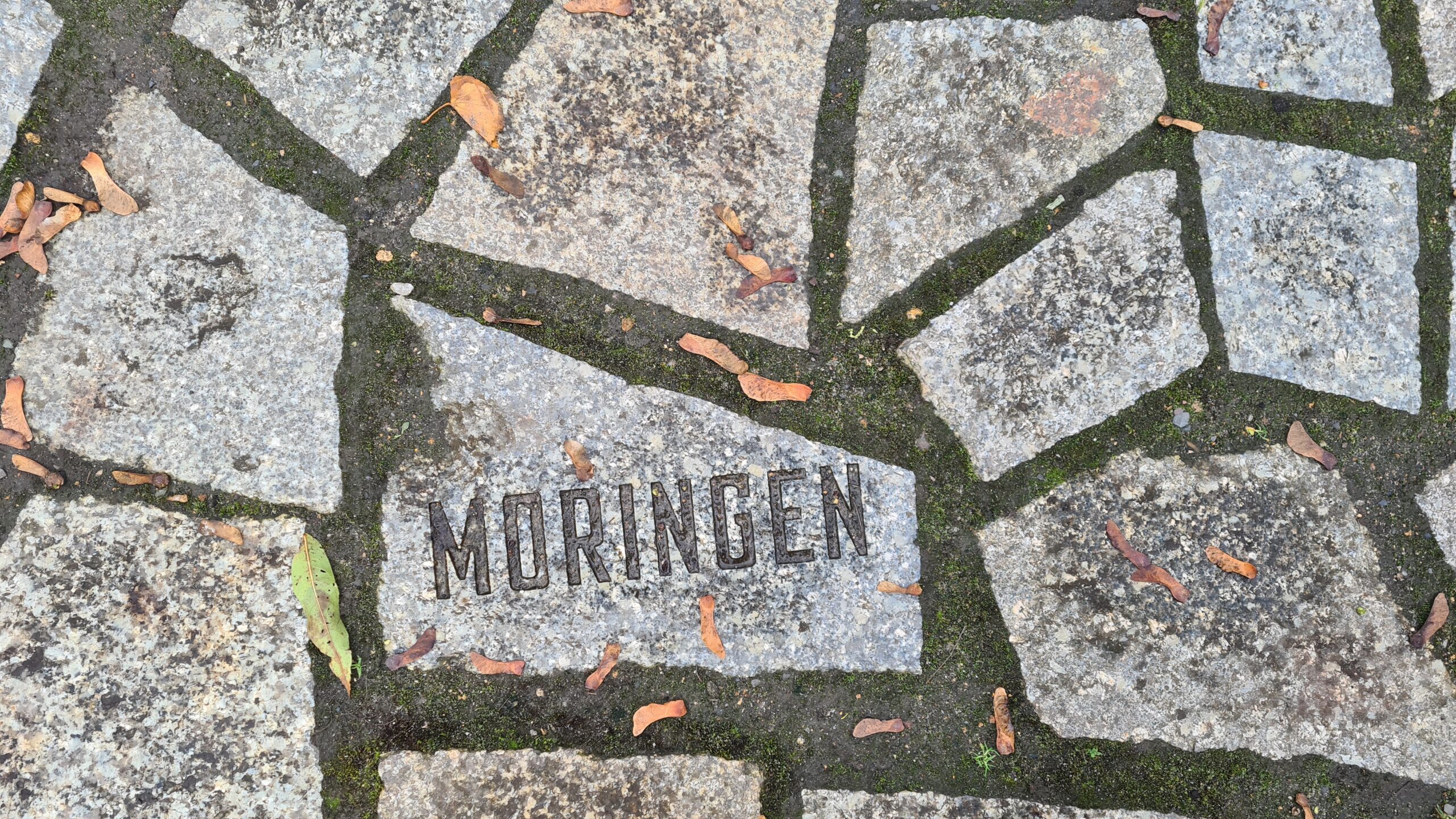 Stone plate at the Memorial (© 2023, RomaniPhen e.V.)