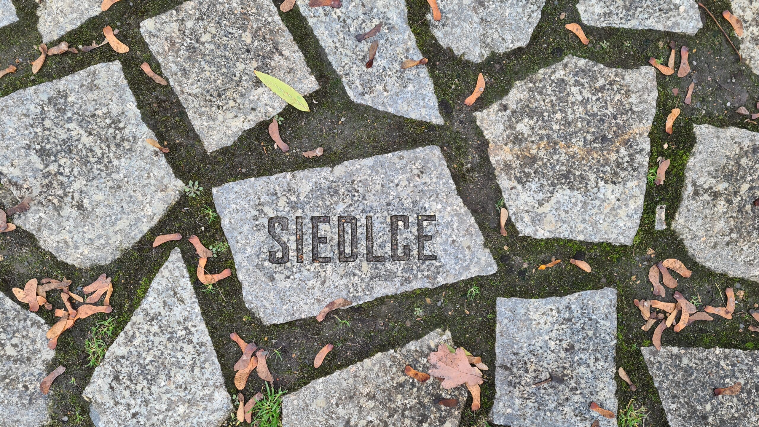 Stone plate at the Memorial (© 2023, RomaniPhen e.V.)