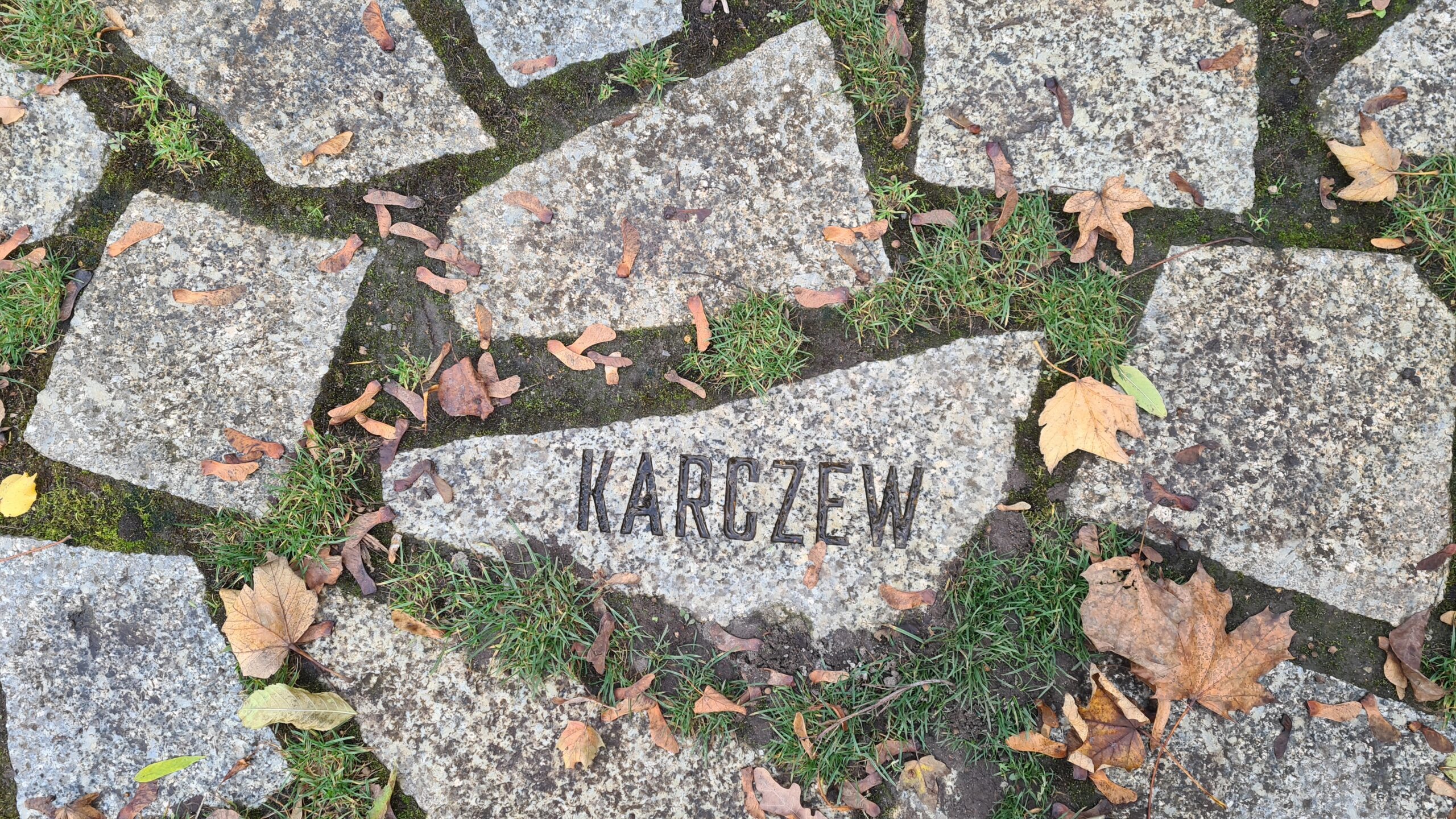 Bareski učarin pe Memorijalo (© 2023, RomaniPhen e.V.)