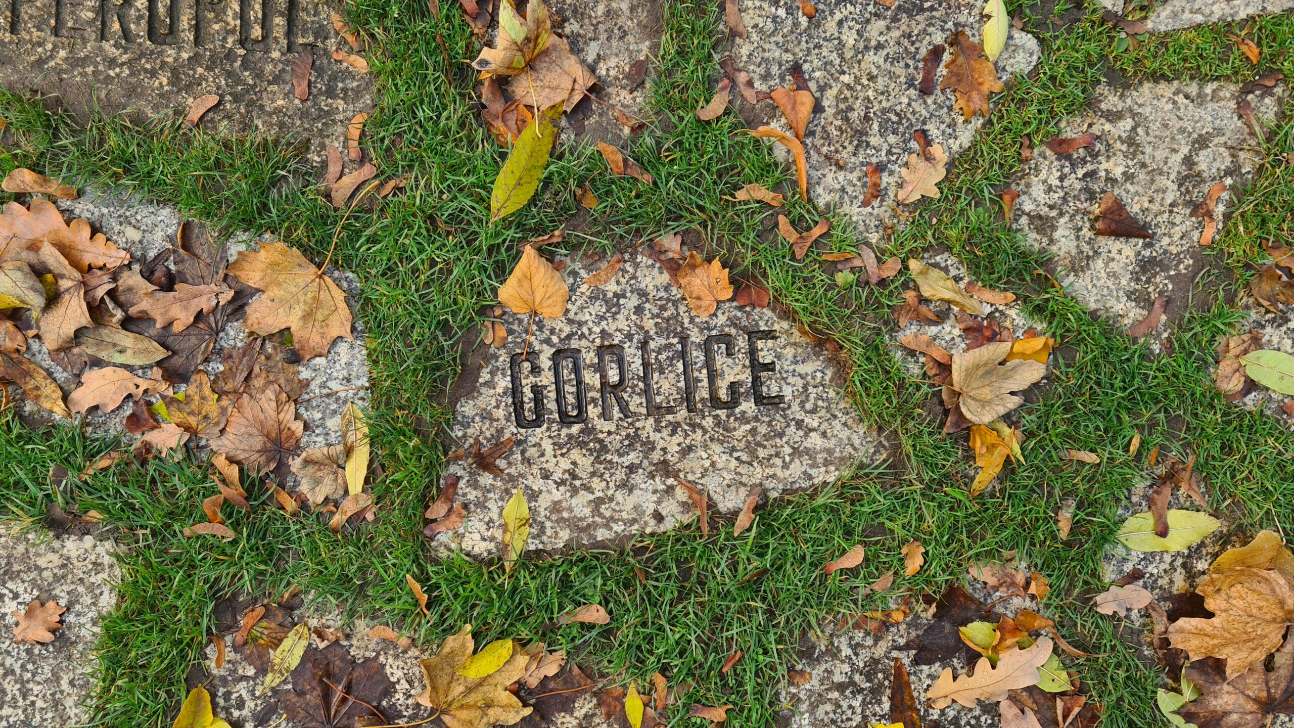 Stone plate at the Memorial (© 2023, RomaniPhen e.V.)