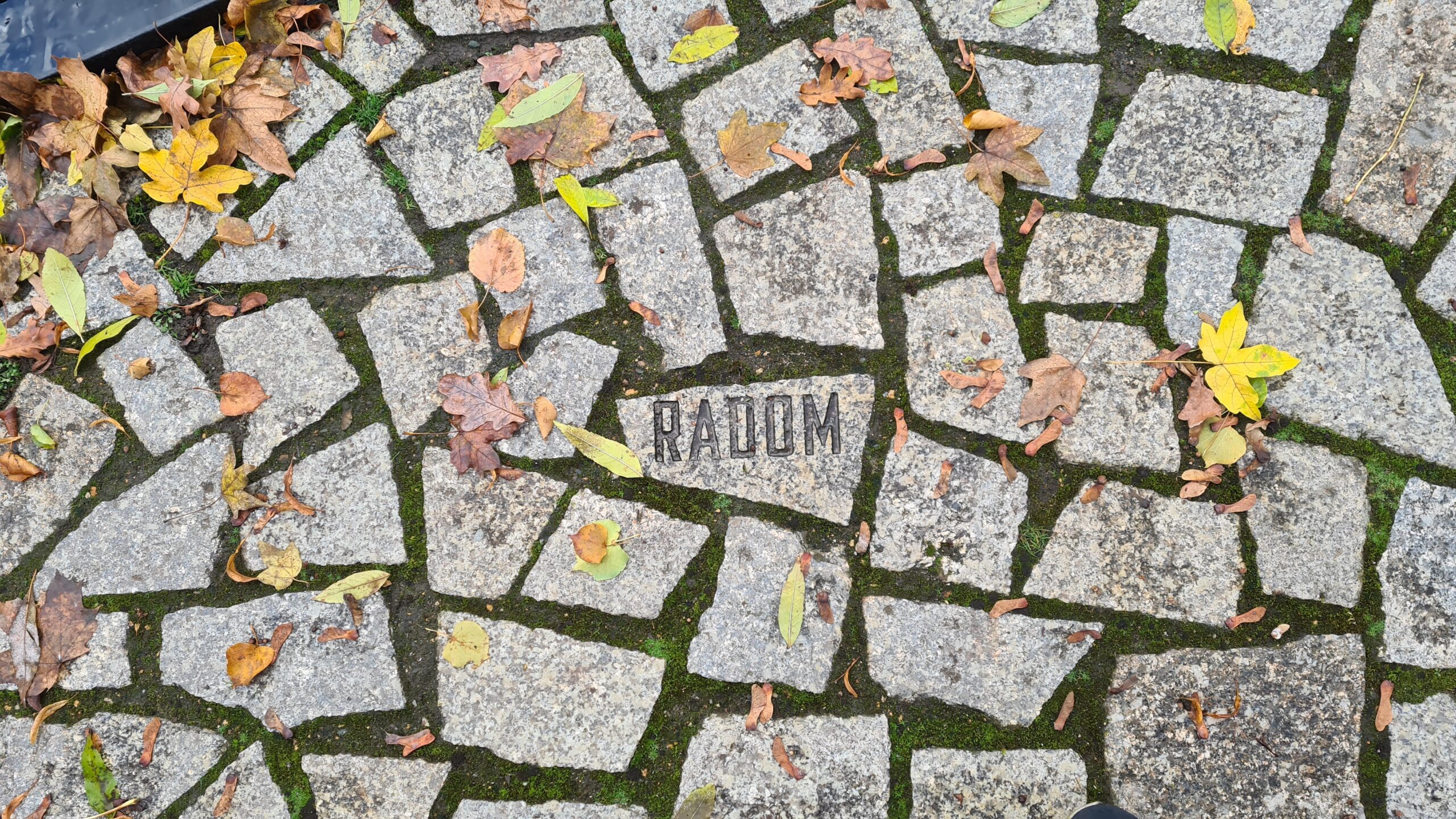 Stone plate at the Memorial (© 2023, RomaniPhen e.V.)