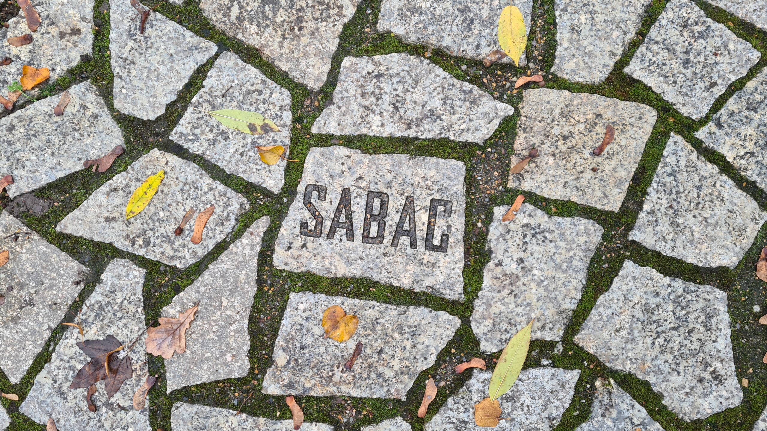 Stone plate at the Memorial (© 2023, RomaniPhen e.V.)